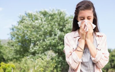 Sinusite ou Rinossinusite: tudo o que você precisar saber!